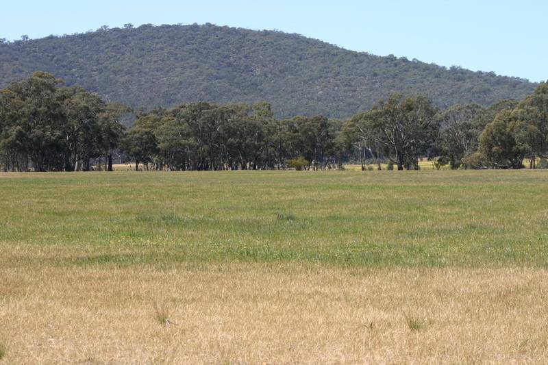 COUNTRY LAND WITH GREAT VIEWS- HOW RELAXING Picture 3