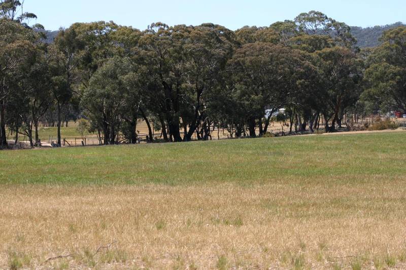 COUNTRY LAND WITH GREAT VIEWS- HOW RELAXING Picture 2