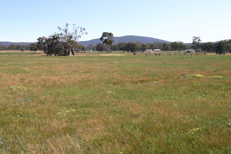 ENJOY THE COUNTRY QUIET Picture 2