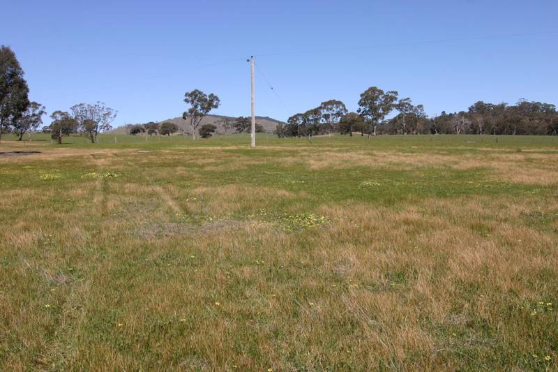 ENJOY THE COUNTRY QUIET Picture 3