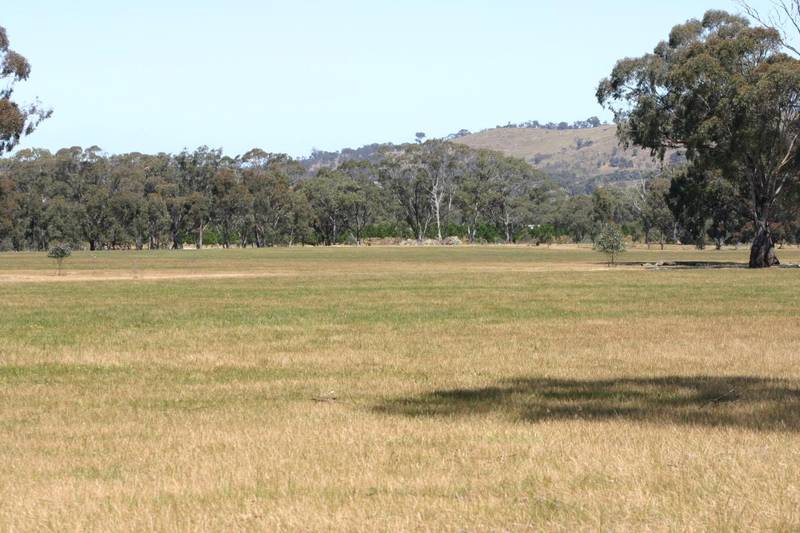 ESCAPE THE RAT RACE Picture 3