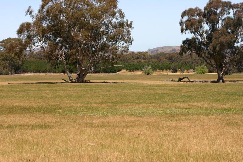 ESCAPE THE RAT RACE Picture 2