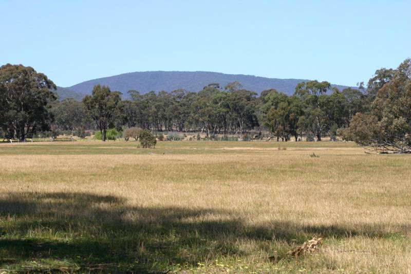 ESCAPE THE RAT RACE Picture 1