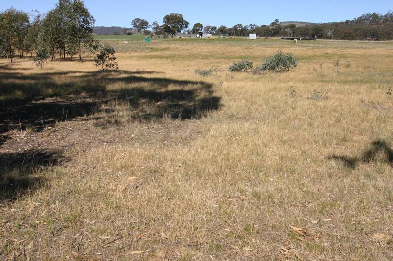 FIVE ACRE COUNTRY GETAWAY Picture 2