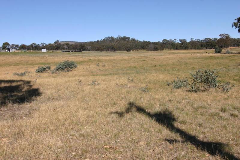 FIVE ACRE COUNTRY GETAWAY Picture 3