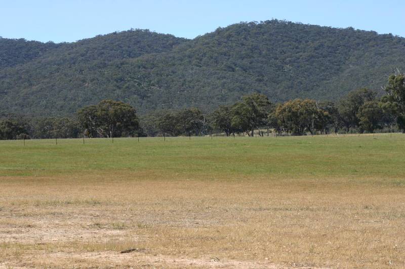 LARGE ACRES PERMIT AVAILABLE Picture 3