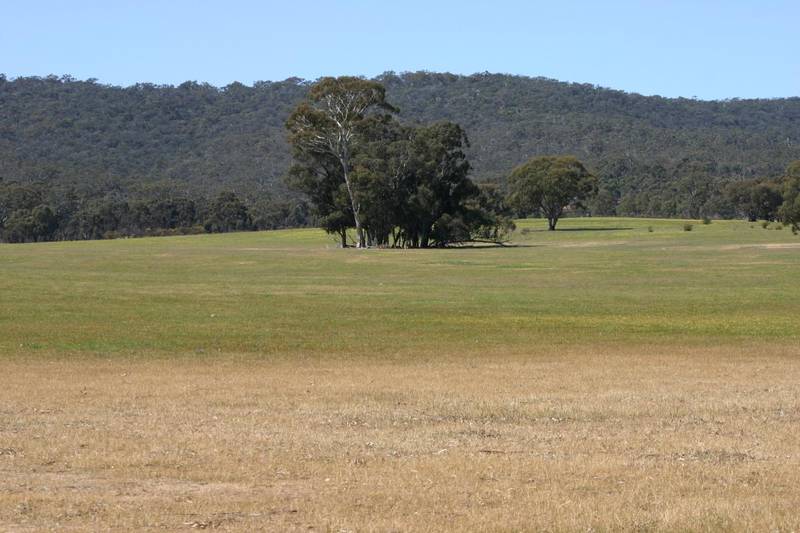 LARGE ACRES PERMIT AVAILABLE Picture 2