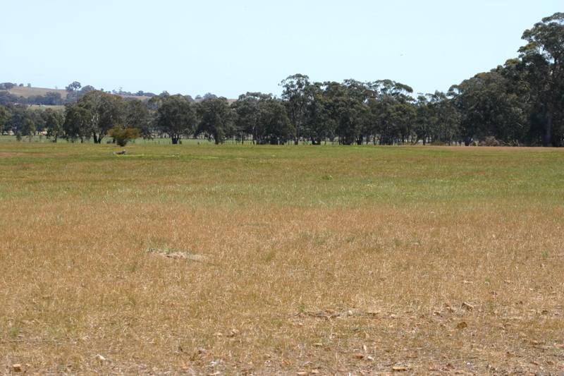 ROOM TO BREATHE Picture 2