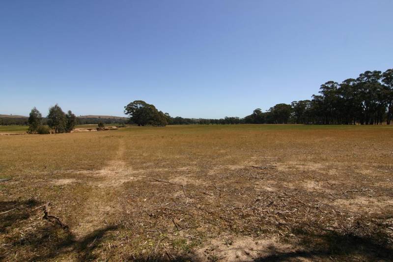 ROOM TO BREATHE Picture 3