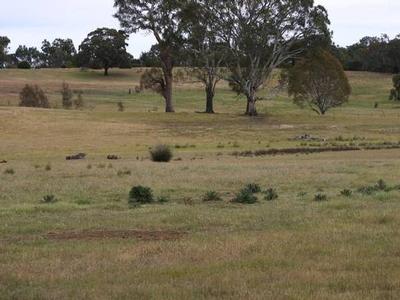 Rural Living Block Picture