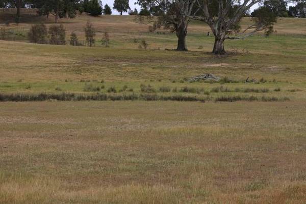 Rural Living Block Picture 2