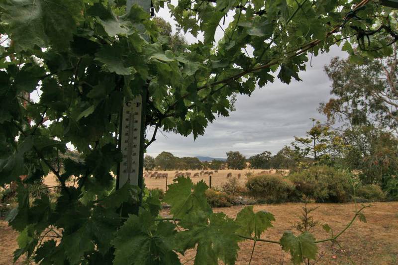 Rural Retreat Picture 2