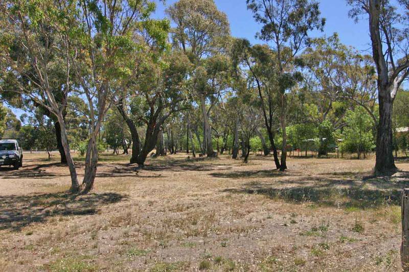 Solid Brick on 1/25 Acres Bushland Picture 2