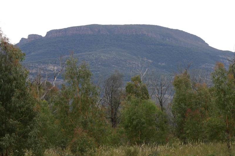 Grampians Rural Retreat Picture 2