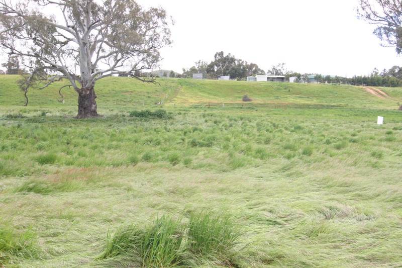 Rural Retreat or Dream Home Site (STCA) Picture 3