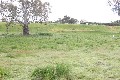 Rural Retreat or Dream Home Site (STCA) Picture