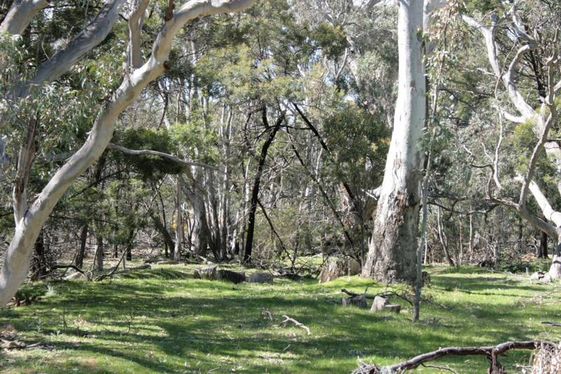 Beautiful, Secluded Bush Retreat Picture 3