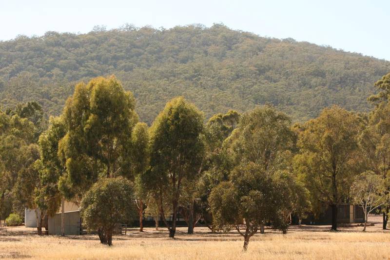 Retreat to the Blue Pyrenees Picture