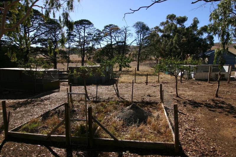 Weatherboard cottage only 7kms from town Picture 3