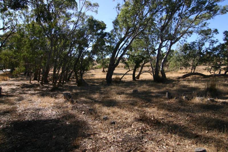 Weatherboard cottage only 7kms from town Picture 2