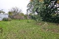 Low maintenance gardens! Picture