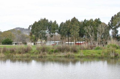 One For The Horse Enthusiast or Hobby Farm Picture