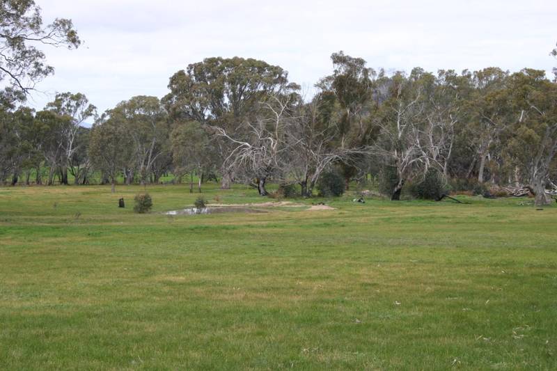 One For The Horse Enthusiast or Hobby Farm Picture 2