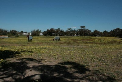 Development or Building Land Picture