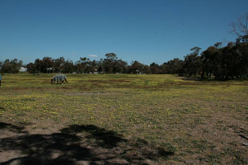 Development or Building Land Picture 2