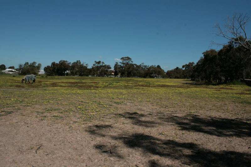 Development or Building Land Picture 3