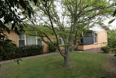 Brick Veneer in Shady Tree Lined Street Picture Brick Veneer in Shady Tree Lined Street Picture