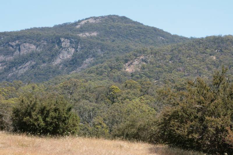 Secluded Bush Block - Warrak Picture 2