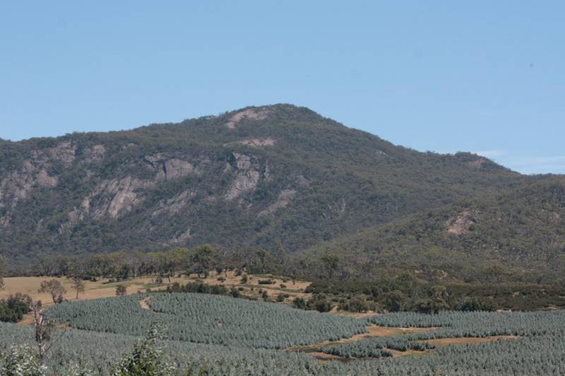 Secluded Bush Block - Warrak Picture 1