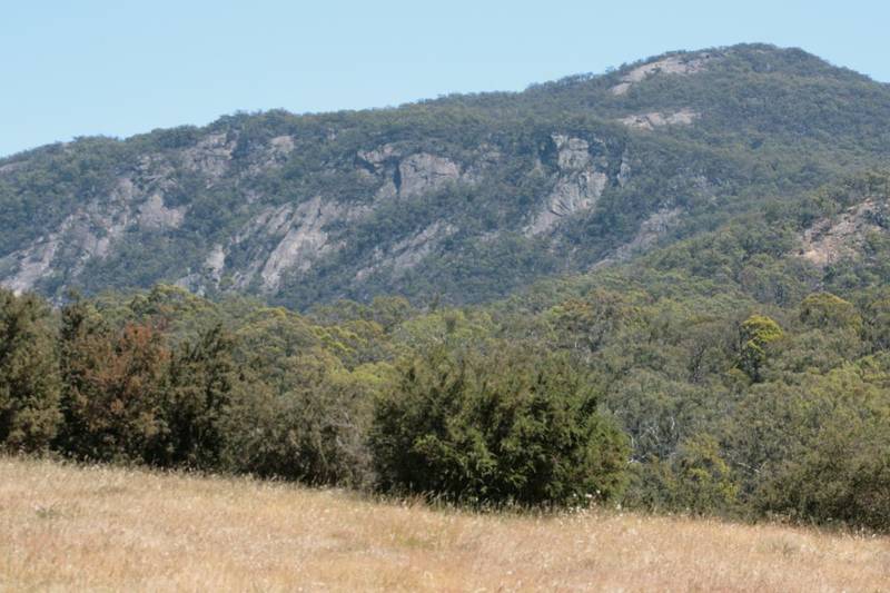 Secluded Bush Block - Warrak Picture 3