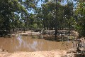 10 ACRE BUSH BLOCK- IDEAL GETAWAY Picture