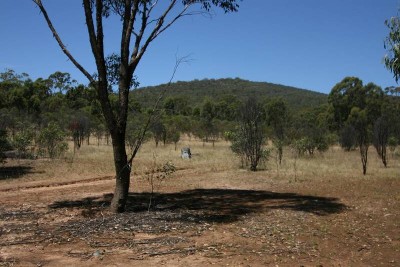 10 ACRE BUSH BLOCK- IDEAL GETAWAY Picture