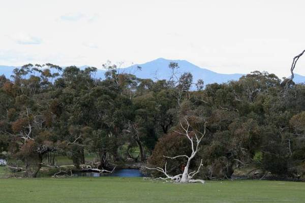 10 ACRES - ARARAT Picture 1