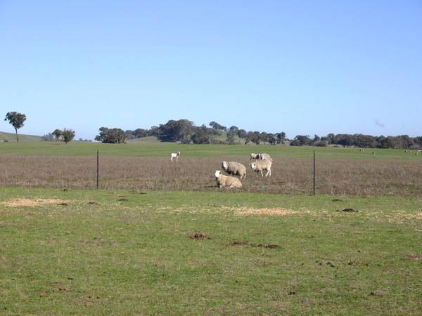 FARM LAND SPECTACULAR VIEWS Picture 3