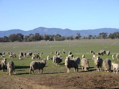 FARM LAND SPECTACULAR VIEWS Picture FARM LAND SPECTACULAR VIEWS Picture