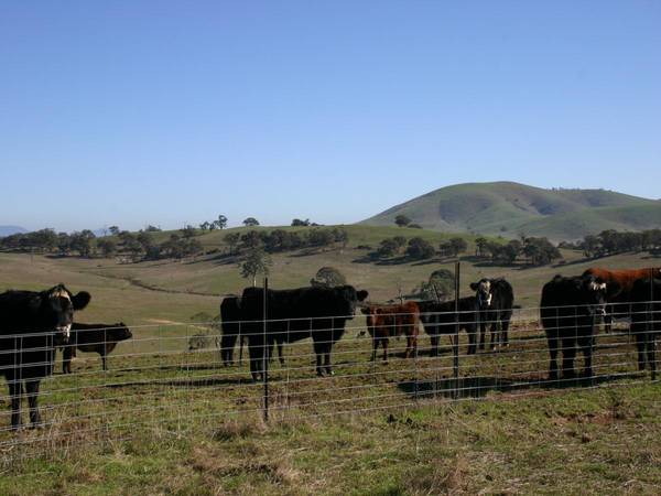 FARM LAND SPECTACULAR VIEWS Picture 2