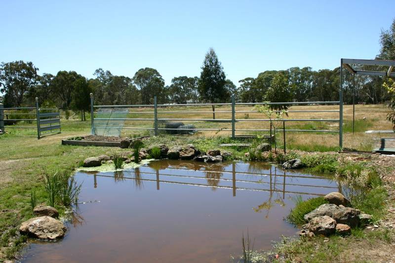 Future Dream Home Site Picture 3