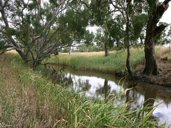 HOPKINS RIVER FRONTAGE Picture 3