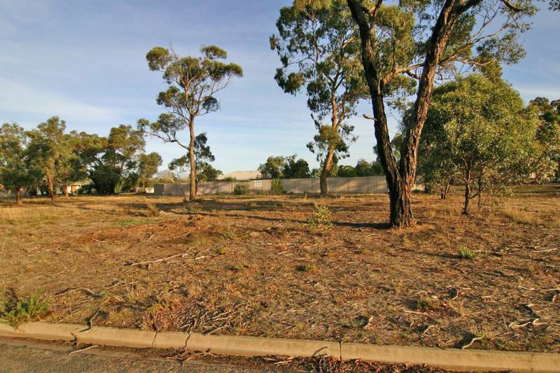 New Land Subdivision Picture 1