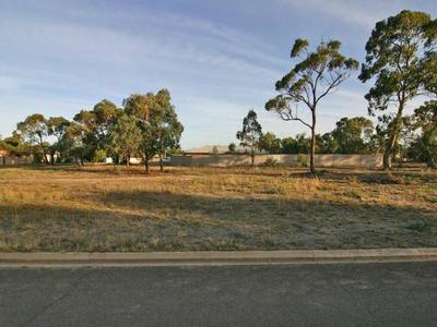 New Land Subdivision Picture