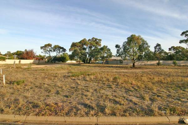 New Land Subdivision Picture 1