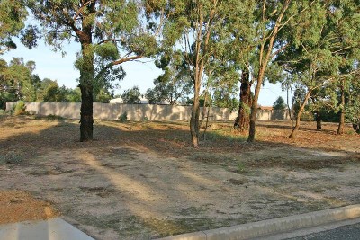 New Land Subdivision Picture