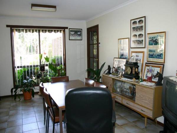 One for the Horse Enthusiast Picture 3