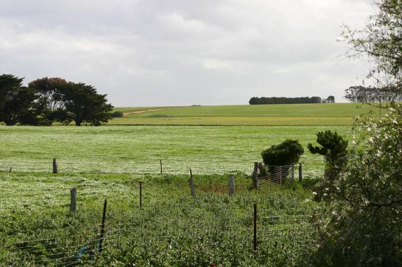 PEACE & PRIVACY ON FIVE ACRES Picture 2