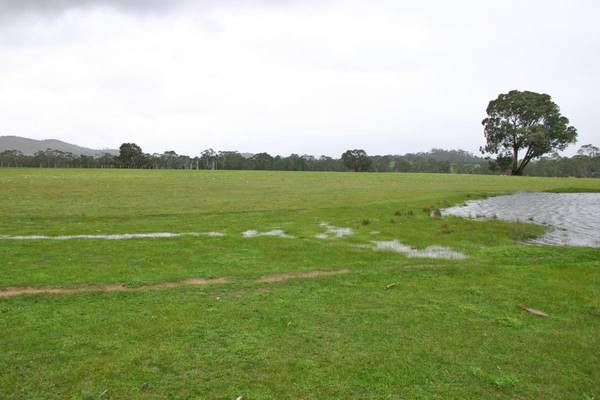 Picturesque Pyrenees Ranges - 17 Acres Picture 2