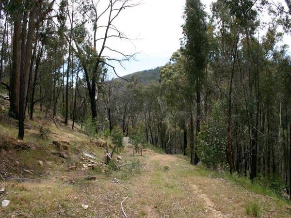 PRIVATE GETAWAY WITH VIEWS Picture 3